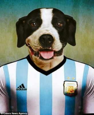 El mundial se pone de 'perros”
