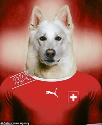 El mundial se pone de 'perros”