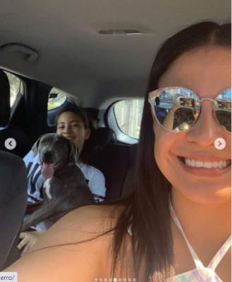 Las mascotas de los famosos hondureños: gatos y perros mimados