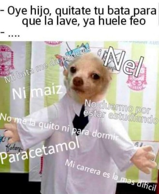En redes celebran el Día del Médico Hondureño con memes