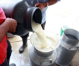 En la actualidad la producción interna de leche deshidratada en polvo es de 4,500 toneladas anuales.