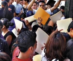 El Programa se implementará mediante tres grandes compenentes: generación de empleo, generación de ingresos y habilitación de empleos....