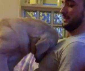 Un adorable perro arrepentido pide perdón a su dueño del modo más conmovedor