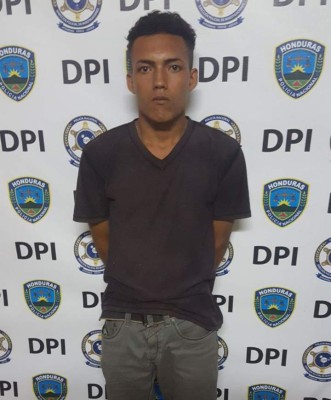 Honduras: escondidas en bolsas de gallinaza encuentran drogas