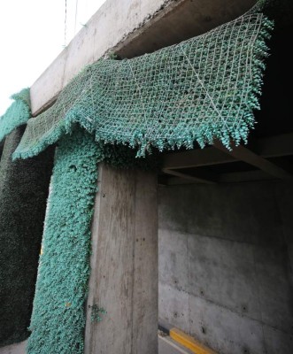 Grama artificial de túnel Jacaleapa se cae a pedazos