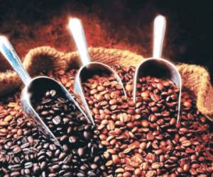 El café es el principal rubro del sector agroindustrial del país.