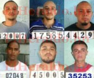 Seis de los reclusos que se fugaron de la cárcel de Támara esta semana (Foto: El Heraldo Honduras/ Noticias de Honduras)