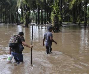 Los departamentos de Cortés, Santa Bárbara y Copán, los más afectados por el temporal de lluvias.