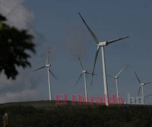 La energía eólica ha resultado cara para la estatal eléctrica, costo que es trasladado al consumidor final de energía.