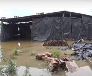 Muchos hondureños se muestran preocupados tras el ingreso de agua a sus viviendas, las cuales están ubicadas en zonas peligrosas y propensas a inundaciones.
