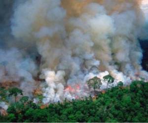 Bolsonaro dijo el miércoles que las organizaciones sin fines de lucro, cuyos presupuestos han sido recortados, podrían estar provocando incendios. Fotos cortesía.