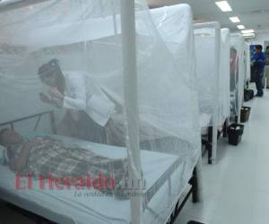 Según las cifras de la Unidad de Vigilancia de la Salud, en este año 66,595 personas han sido atendidas en centros de salud y hospitales por la enfermedad. Foto: EL HERALDO