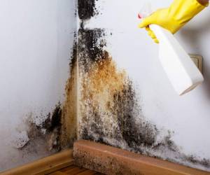 El Vodka. Sí, lee bien es perfecto para eliminar manchas de moho, solo tiene que rociar el contenido sobre la mancha y esperar por 10 minutos, seguidamente con una esponja proceda a retirar la mancha.