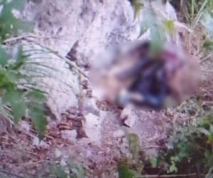 Uno de los asesinatos tuvo lugar en un sector de la colonia Tiloarque de Comayagüela.