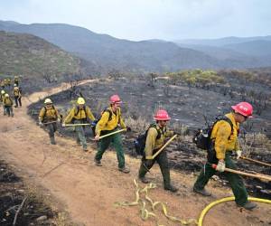 Cerca de 1,700 bomberos luchan por apagar el incendio.
