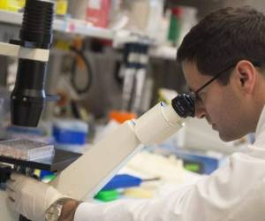 Los investigadores reclutaron a 3,743 pacientes tratados en el centro oncológico MD Anderson en Texas, de 2007 a 2013. Foto: Agencia AFP