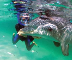 Roatán es una isla en el mar Caribe, situada a unos 65 kilómetros al norte de la costa norte de Honduras. Es la isla más grande del archipiélago de las Islas de la Bahía.