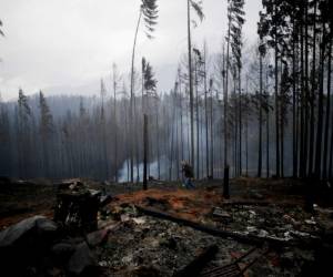 Chubut, a unos 1,800 kilómetros de Buenos Aires, atraviesa uno de sus peores momentos tras los incendios que se declararon el martes y arrasaron con 1,500 hectáreas de bosque, más de 200 viviendas y dejaran al menos un fallecido y varias personas hospitalizadas tras sufrir quemaduras.