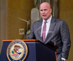 Whitaker usó su papel como presidente y director ejecutivo de FACT en el 2016 como plataforma para cuestionar a la nominada presidencial demócrata Hillary Clinton.