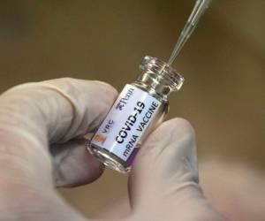 Para ganar tiempo, se decidió no esperar a los resultados antes de comenzar la producción. AP.