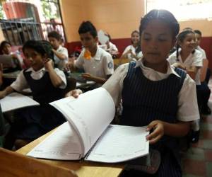 Los alumnos del Centro Básico República de Costa Rica, están listos para ganar el primer lugar en el concurso de de las Escuelas Amigables con el Ambiente. Foto: Alex Pérez / EL HERALDO.