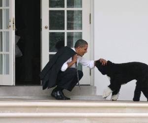 El presidente estadounidense Barack Obama acaricia a su perro Bo fuera de la Oficina Oval de la Casa Blanca el 15 de marzo de 2012. Foto:AFP