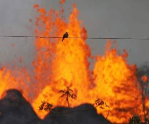 Las llamaradas de lava del volcán Kilauea, en Hawaii, avanzaron a pasos acelerados. Este lunes alcanzaron el océano Pacífico y provocaron una gran nube tóxica para toda la población. Foto AFP