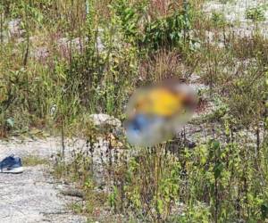 Luis Alonso Torres Hernández fue encontrado con varias heridas en diferentes partes del cuerpo en un sector solitario de Cedros, Francisco Morazán.