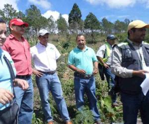 Autoridades municipales y de la Mesa de Gestión Ambiental al inspeccionar el predio donde se busca construir el relleno sanitario.