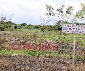 Los grupos campesinos han formado movimientos de invasión de tierras en varios sectores del país, por lo cual las autoridades comenzarán un proceso de investigación y análisis de los casos.