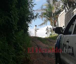 El cuerpo quedó en un sector conocido como las huellas, que conduce a la carretera El Lolo. Foto: Estalin Irías/EL HERALDO