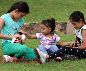 Los animales pasivos como los conejos ayudan a la confianza. Foto: Alex Pérez / EL HERALDO.