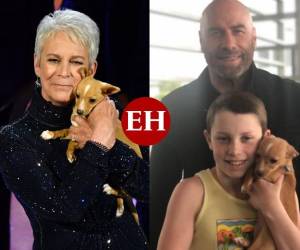 La perrita formaba parte de una organización que rescata animales; John Travolta la adoptó para su hijo.