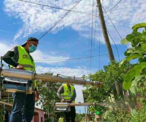 Las autoridades llaman a eliminar los criaderos de zancudos.