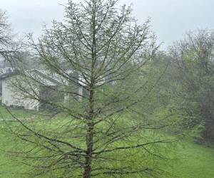 Un frío ambiente espera por Honduras en Dallas, Texas.