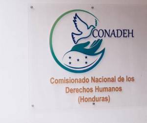 La denuncia fue interpuesta por el abandono consular en los Estados Unidos.