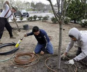 La jardinería o el paisajismo es una de las principales labores que realizan los hondureños en Estados Unidos. Foto Cortesía