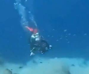 Así es cómo se ve un fuerte sismo en el fondo del mar