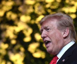 Donald Trump, presidente de Estados Unidos. Foto AFP