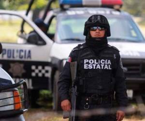 La captura se llevó a cabo en el estado de Campeche, a unos 500 kilómetros de Minatitlán. (Foto: TN8)