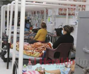 Decenas de menores están hospitalizados por dengue grave. Foto: El Heraldo