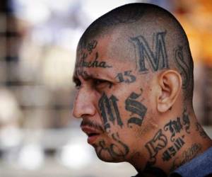 Thomas Homan, jefe de ICE, aseguró este miércoles a un medio estadounidense que su personal se enfocará en atrapar a los integrantes de la Mara Salvatrucha, al que consideran el grupo más violento que existe en los Estados Unidos.