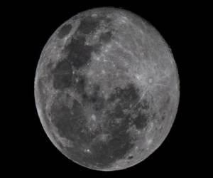 Los fragmentos de meteoritos son codiciados por buscadores que recorren los desiertos para encontrar estas piedras preciosas.