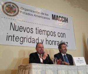 Otro de los temas a investigar son las campañas políticas, aseguró el vocero de la Maccih.