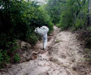 Agentes de medicina forense llegaron hasta la zona a través de un estrecho camino de tierra donde no ingresan automóviles.