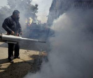 Las autoridades de la Región Metropolitana de Salud evitan la fumigación y solo la emplean como último recurso.Foto: El HEraldo