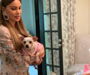 La imagen que publicó Sofía junto a su perrita Baguette. Foto: Instagram