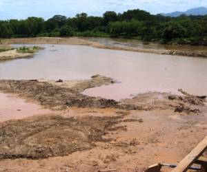 “La zona afectada es productora de granos básicos, café y lácteos”, explicó Nelson Rodríguez, director de un centro agrícola en el sector. Foto Archivo EL HERALDO