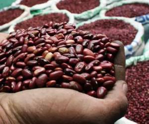 Para cubrir la demanda de granos básicos en Honduras se importará frijoles y arroz. Las autoridades buscan no caer en una crisis alimentaria.