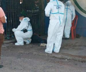 Elementos de la Dirección Policial de Investigaciones se apersonaron al lugar para investigar el caso.